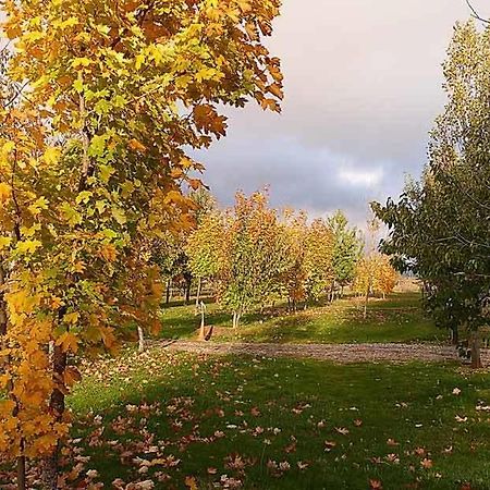 Camping Aín Jaca Ngoại thất bức ảnh