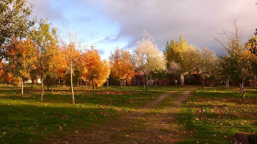 Camping Aín Jaca Ngoại thất bức ảnh